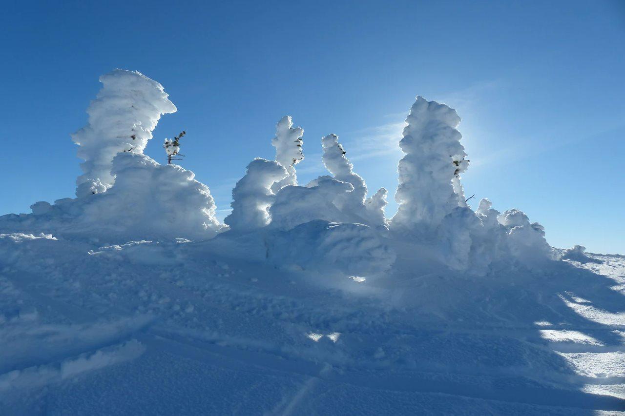 Sundance Resort Big White Buitenkant foto